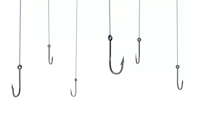 fish hook